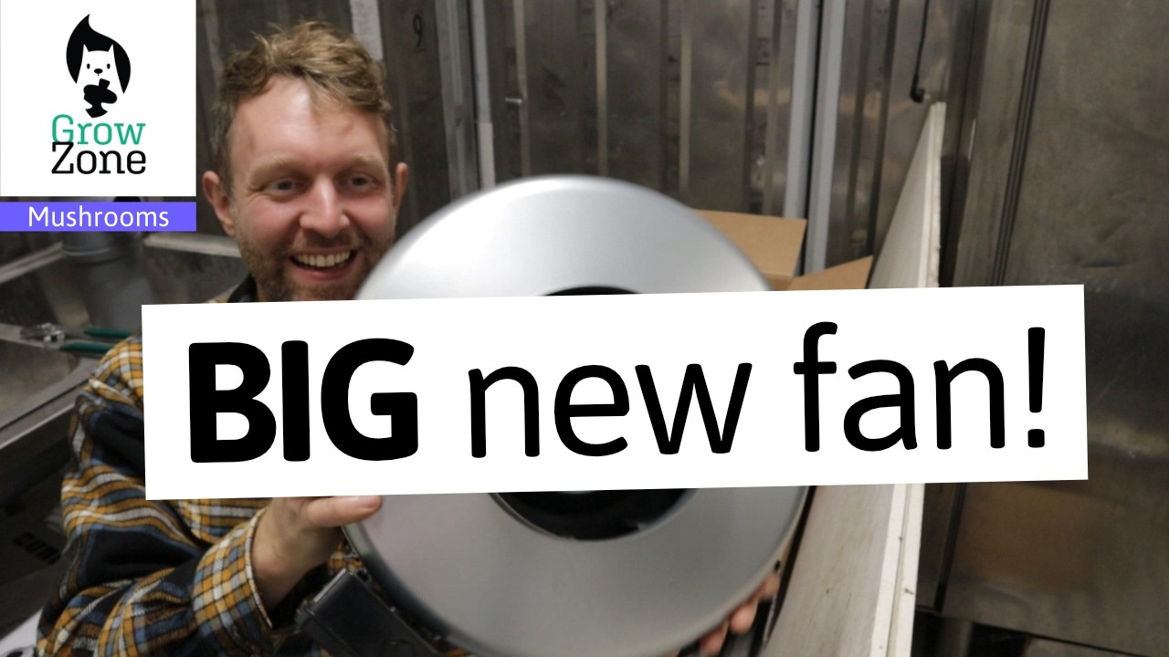 Mushroom Farm Upgrade: New Fans for Better Fruiting Chamber Airflow!