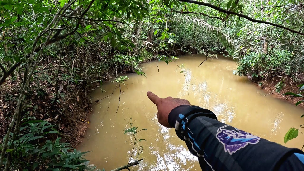 VOLTAMOS NO CORGO DAS TRAIRA GIGANTES, @Amanda Ataíde QUEBROU A VARA NA HORA DA FERRA