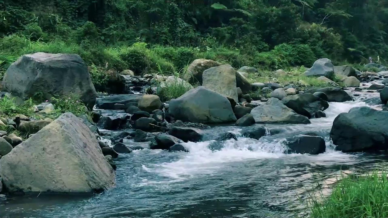 Relaxing Nature Sounds Vibes | For Falling Asleep Fast, Mental Healing & Healing