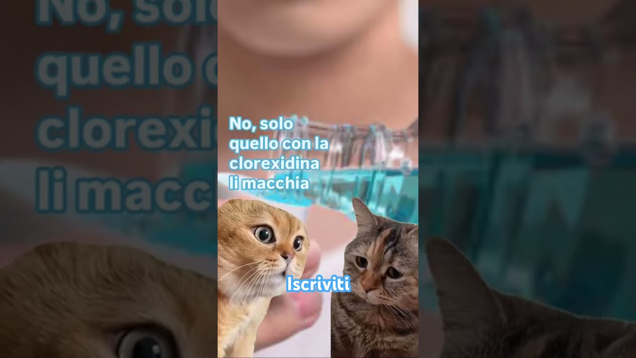 Il tuo colluttorio contiene clorexidina?#igieneorale #selfcare #colluttorio
