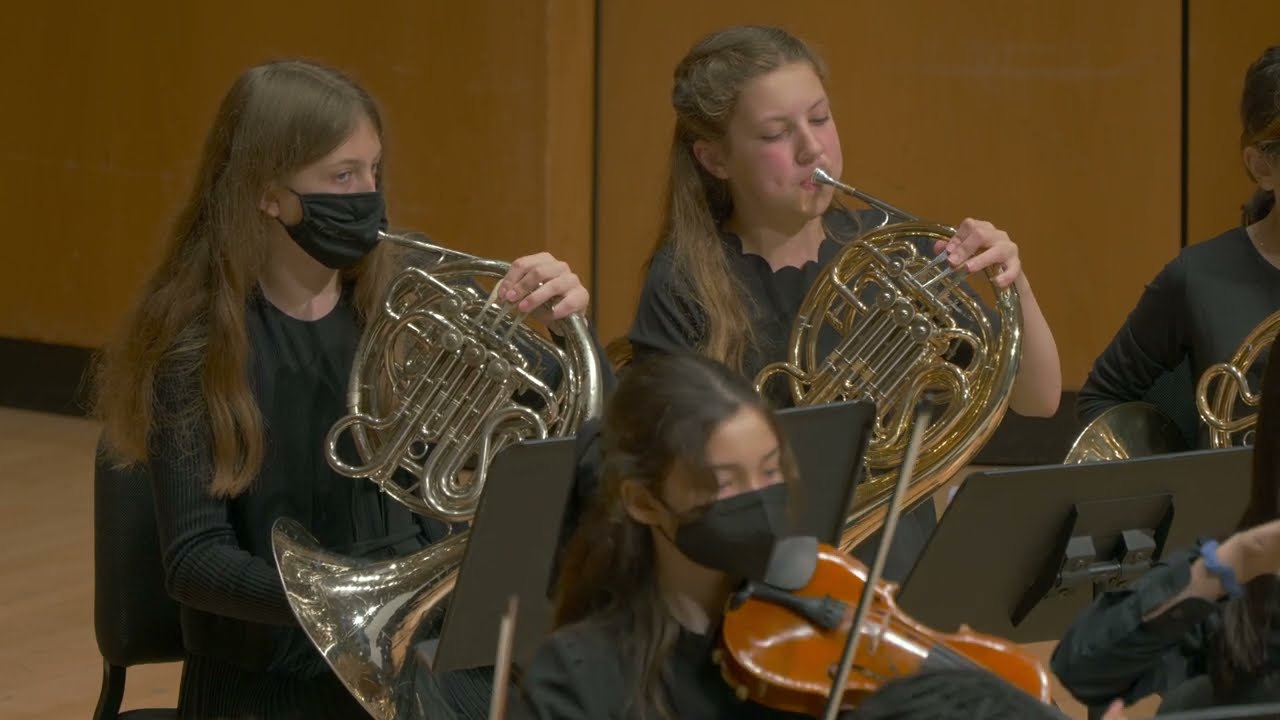 LISZT: Les Preludes (arr. England) | CYSO's Debut Orchestra