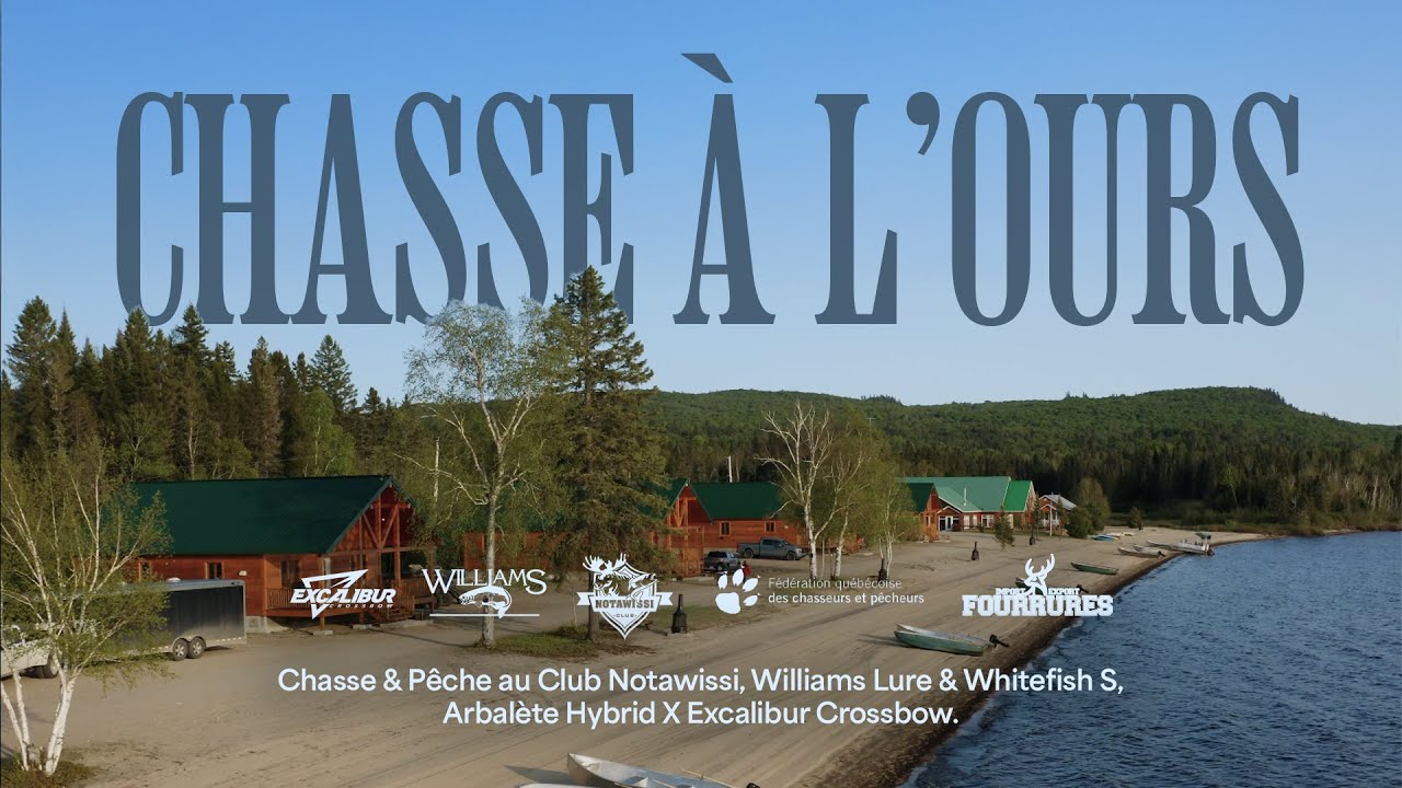 Le MEILLEUR spot pour la chasse &agrave; l&rsquo;ours?