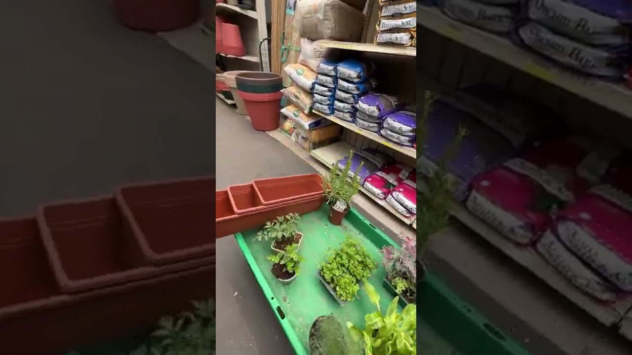 Я ДЕЛАЮ САД НА БАЛКОНЕ 🌳