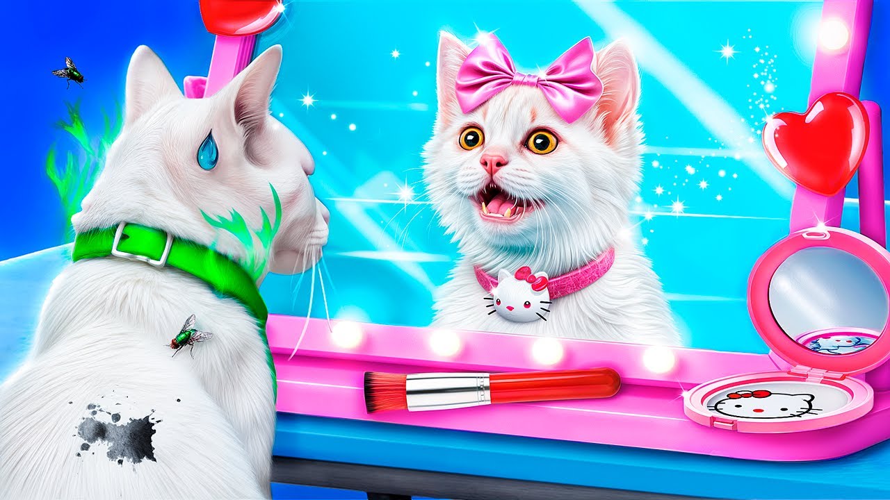 Costruiamo una Stanza Segreta per il Gatto! Prendiamoci Cura del Gattino Randagio!