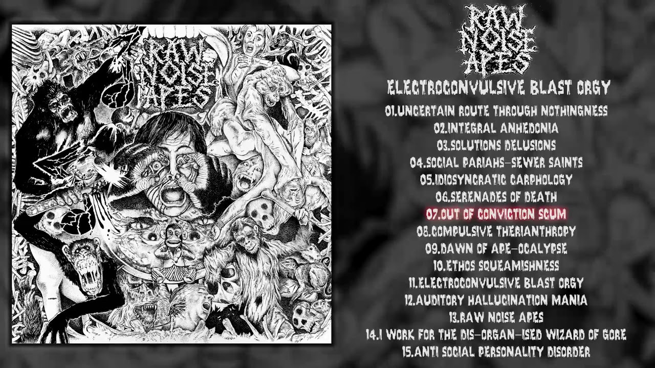 Raw Noise Apes - Electroconvulsive Blast Orgy 10