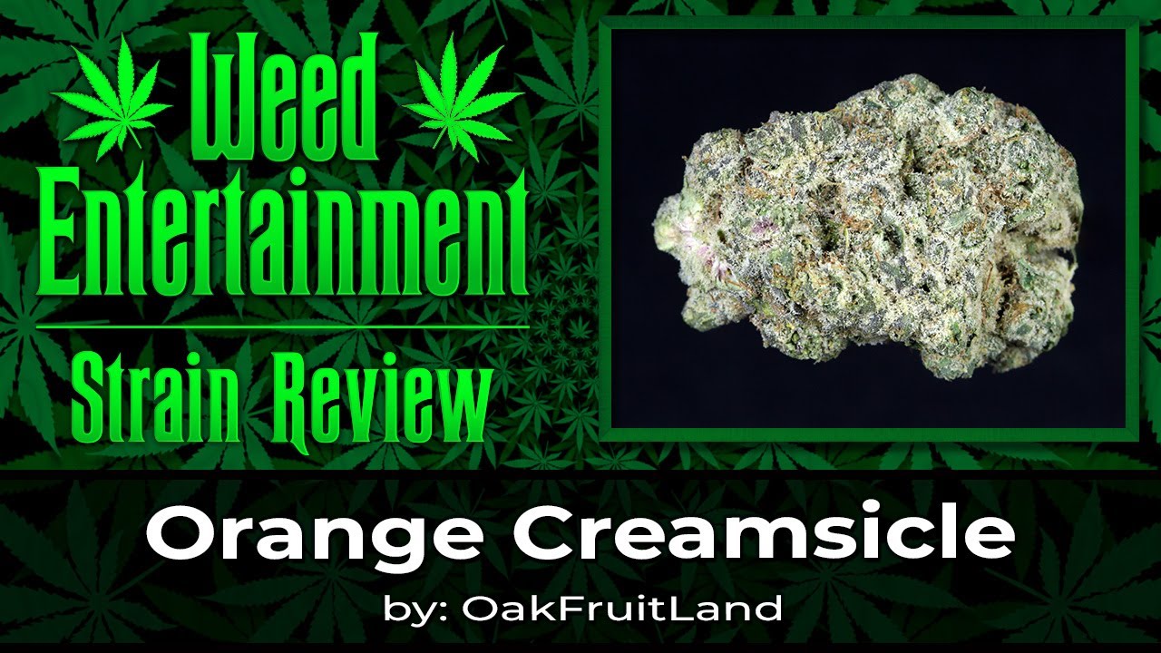 Orange Creamsicle - by OakFruitLand - Review - October 2024