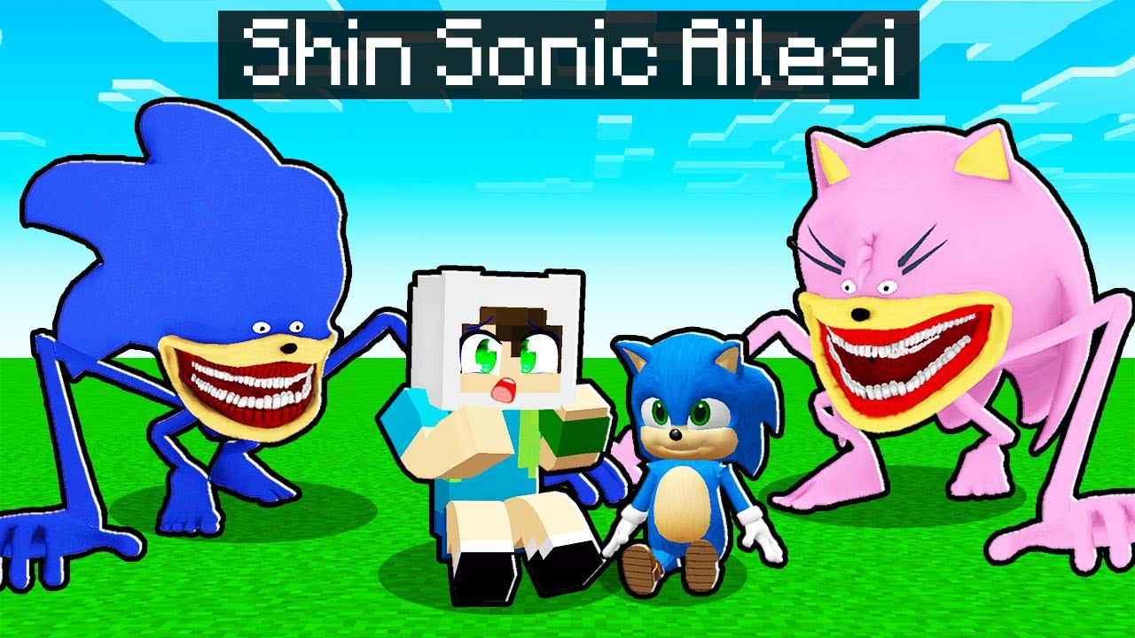SHİN SONİC AİLESİ BENİ SAHİPLENDİ 😨 Minecraft