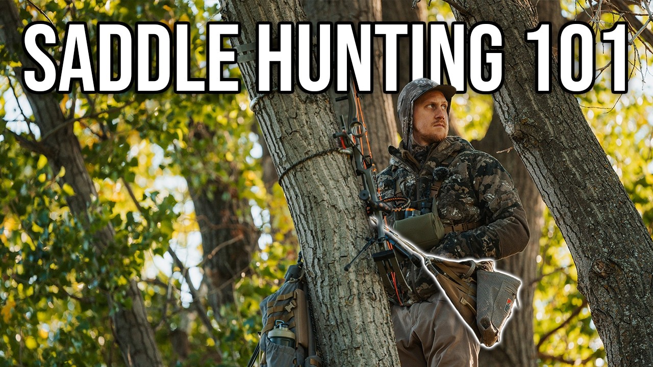 Complete Beginner’s Guide to Saddle Hunting (2025 Edition)