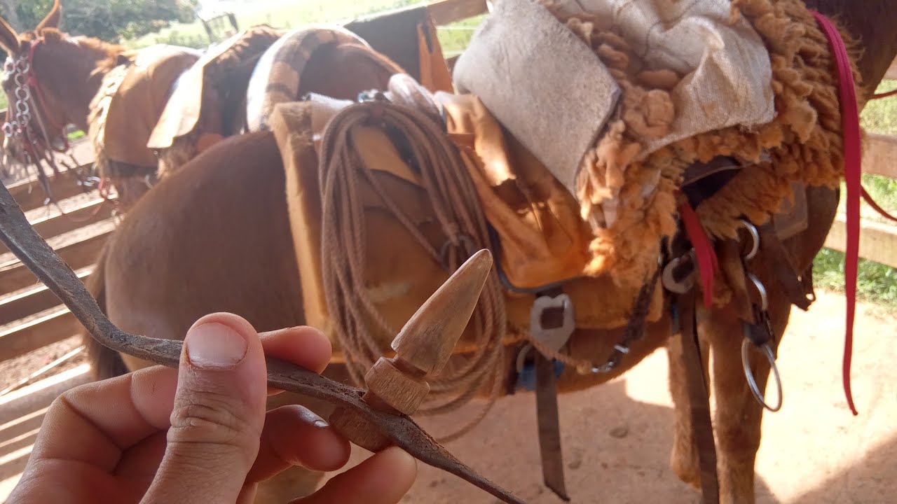 Como Amarrar o laço no Arreio (DO JEITO QUE USO PRA LIDA)