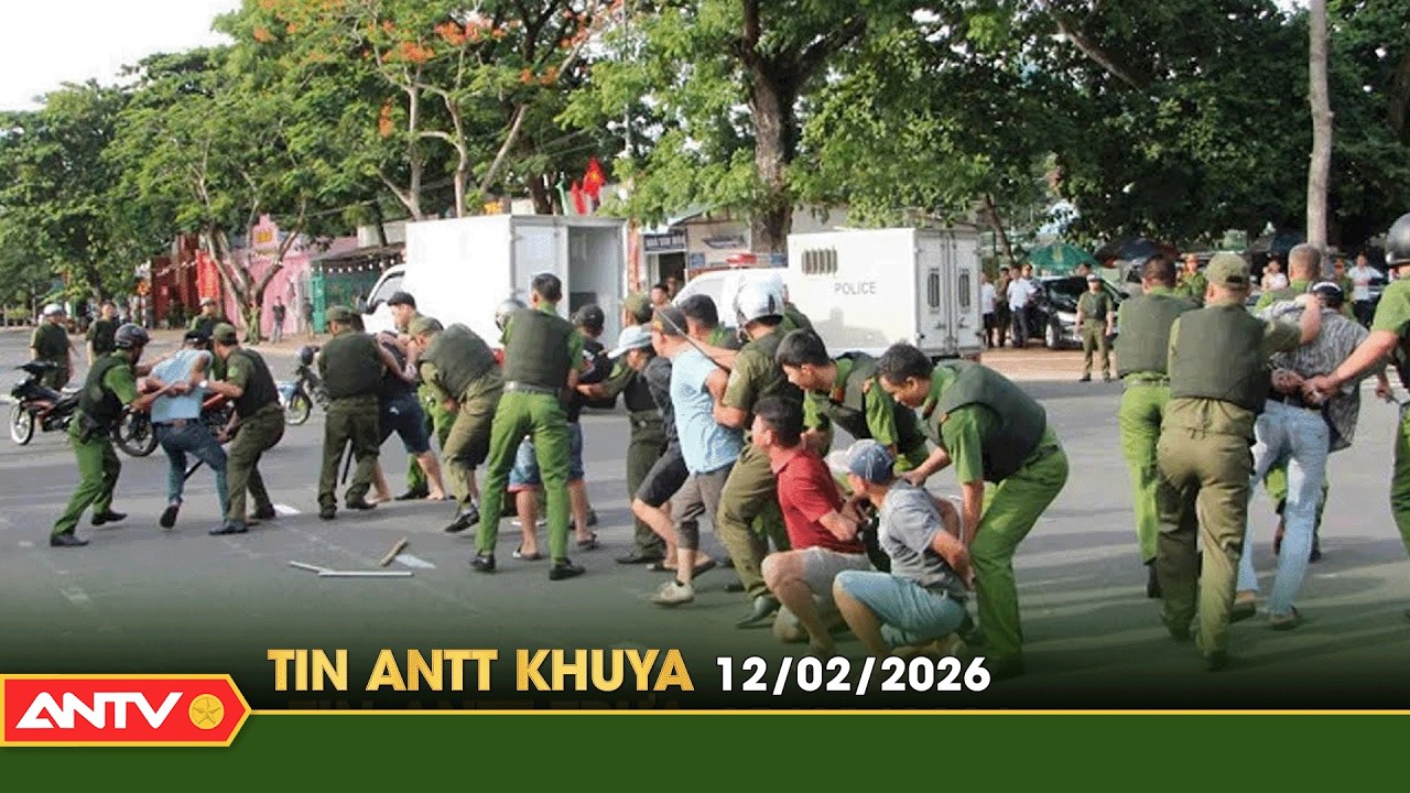 Tin tức an ninh trật tự nóng, thời sự Việt Nam mới nhất 24h khuya ngày 12/2 | ANTV