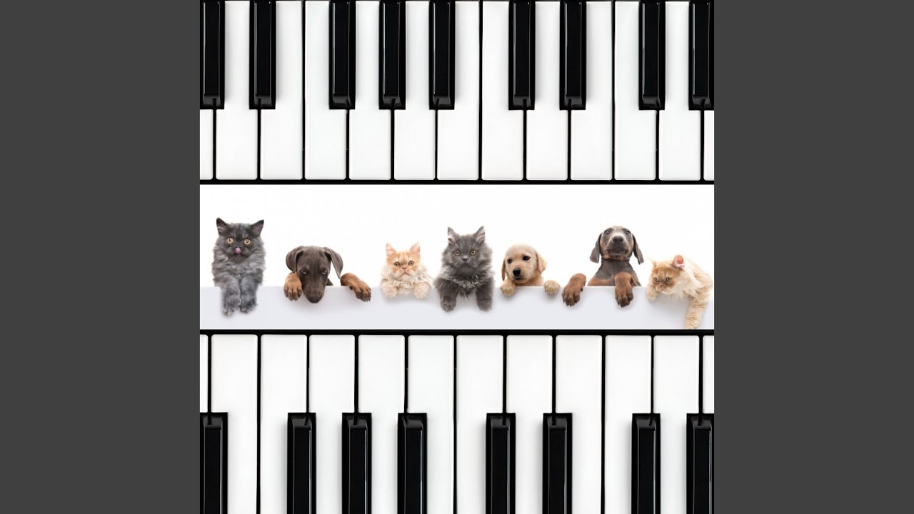 Serene Piano Echoes in Pet's Oasis