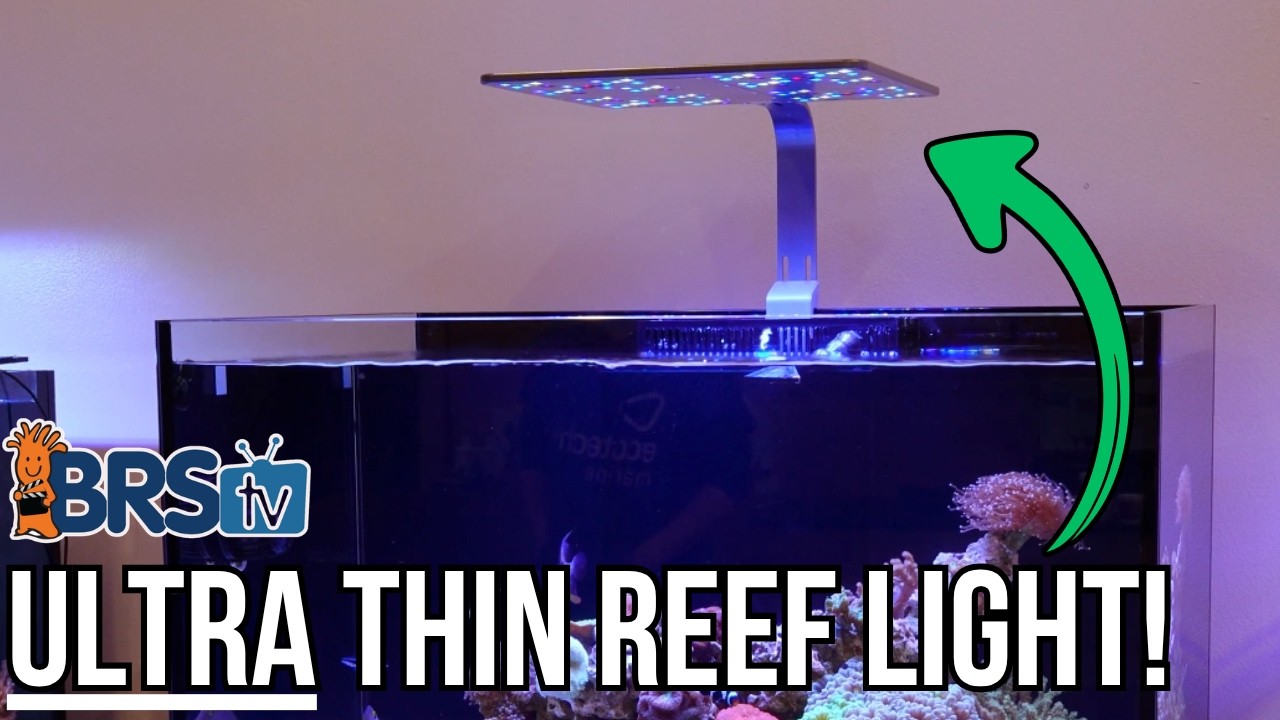 Ultra-Slim, High-Power Reef Tank Lighting!
