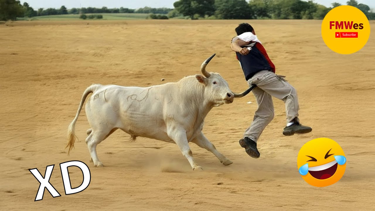 SI TE R&Iacute;ES PIERDES NIVEL DIOS #526 🤣 TOP 100 VIDEOS M&Aacute;S DIVERTIDOS DE TODOS LOS TIEMPOS 😆