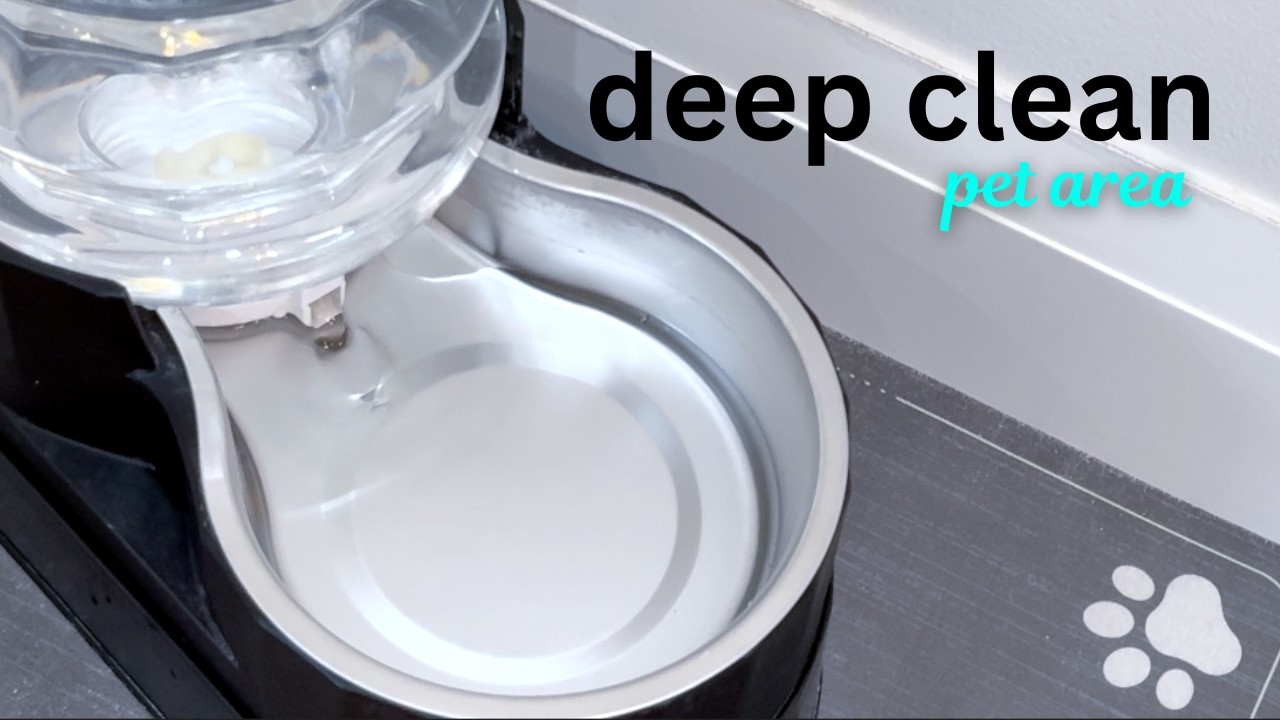 Pet Area Deep Clean | Before & After | Calm Cleaning Motivation