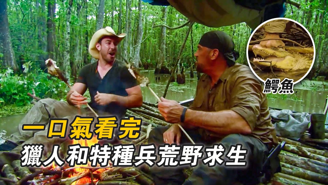 一口氣看完獵人和特種兵組隊荒野求生，沼澤抓條40斤鱷雀鱔，徒手單挑鱷魚，高海拔烹飪碳烤鼠兔，荒島求生實現海鮮自由，叢林打野抓頭50斤野豬！紀錄片