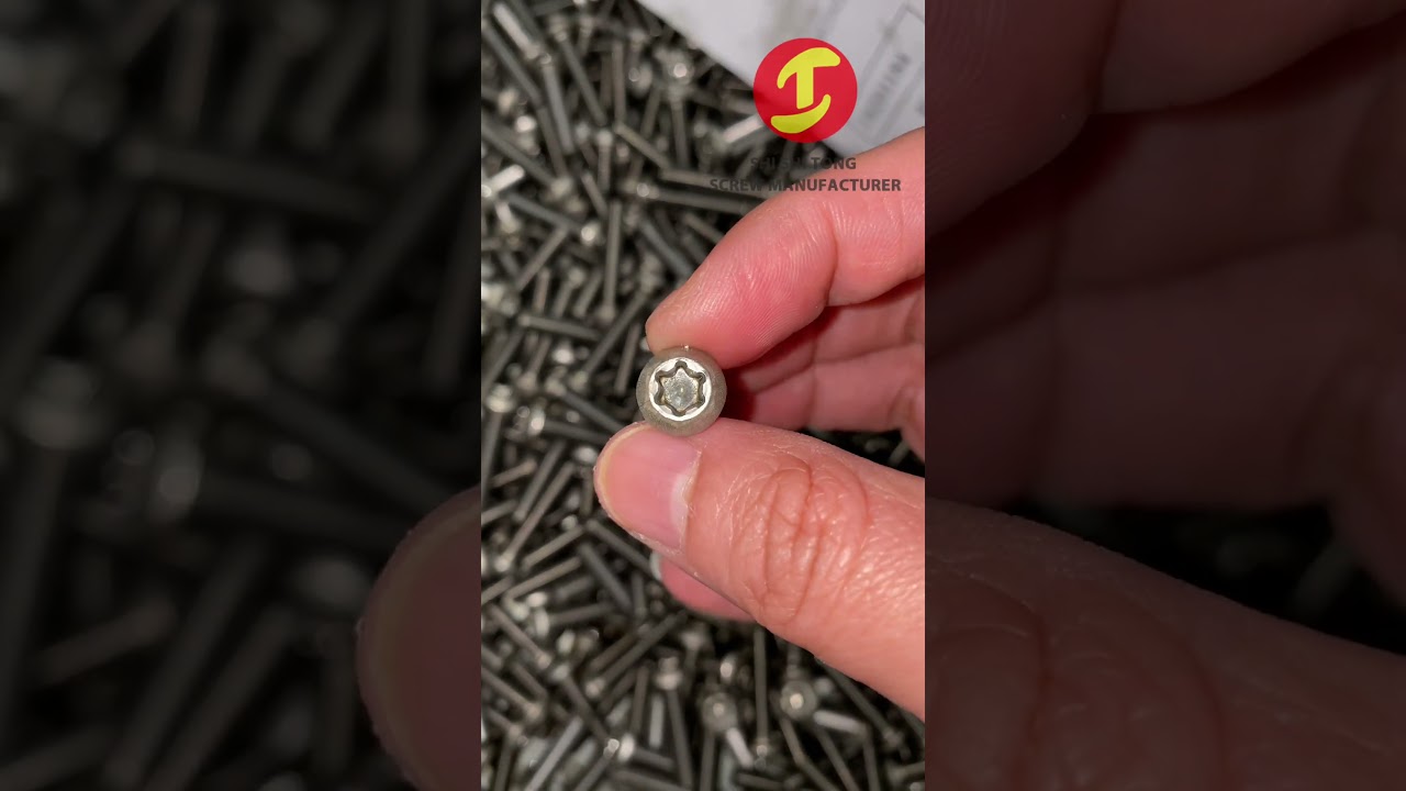 Stainless Steel Button Head Torx Socket Cap Machine Screw