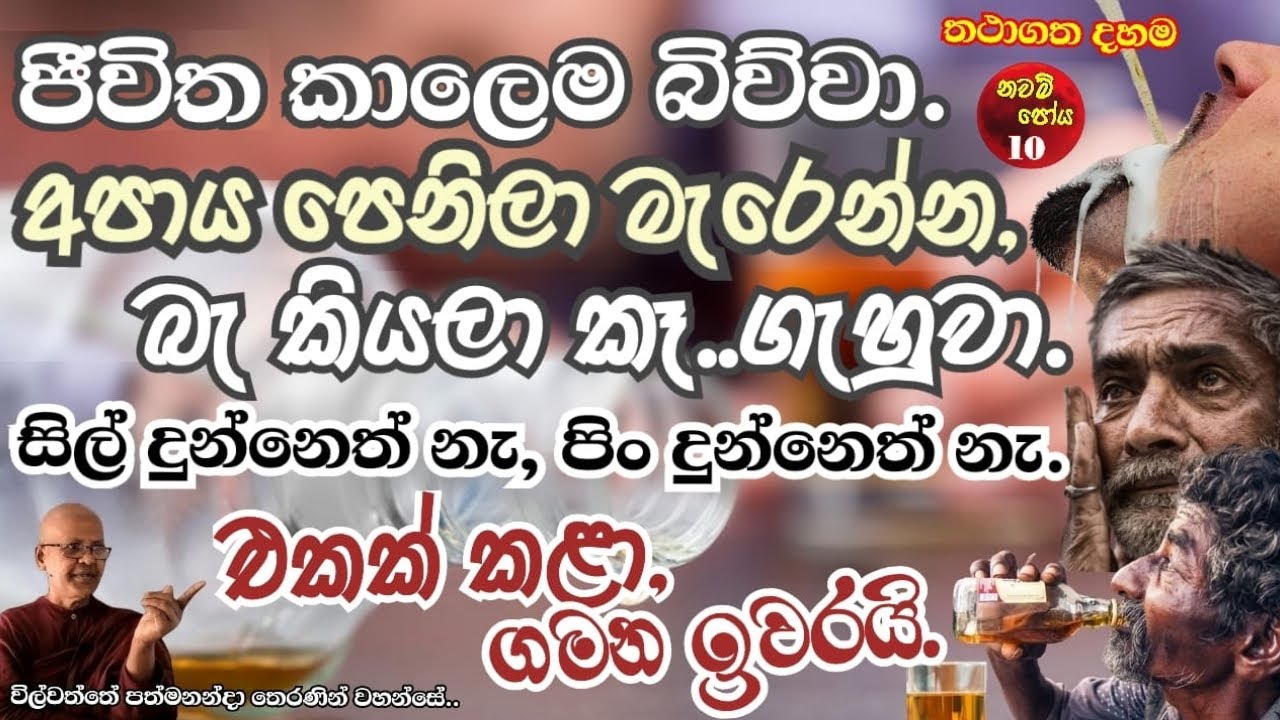 wilwaththe pathma theraniyo