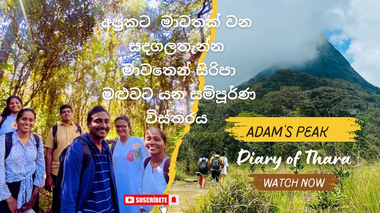අප්‍රකට මාවතක් වන සදගලතැන්න මාවතෙන් සිරිපා මළුවට යන සම්පූර්ණ විස්තරය |Adam’s Peak #adamspeak #kandy