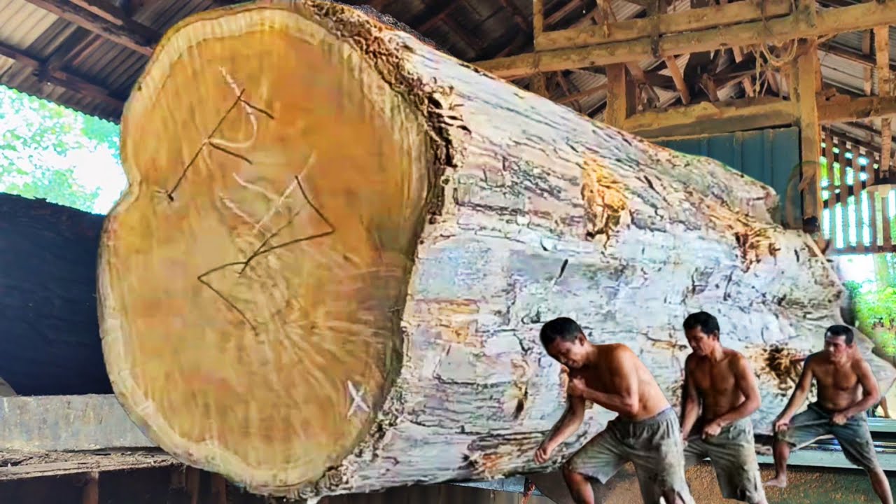 The most expensive teak wood sawing process for American resin table materials at the sawmill 