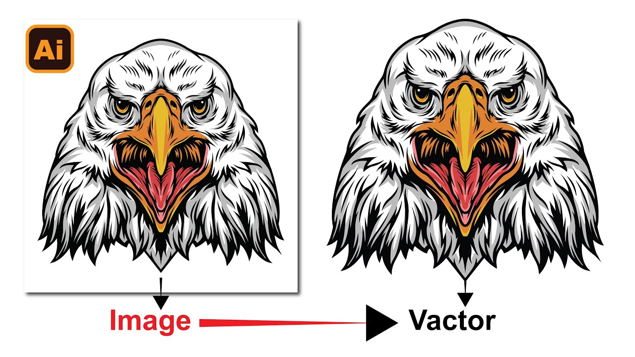 How to Convert JPG image to a vector in Illustrator 2023