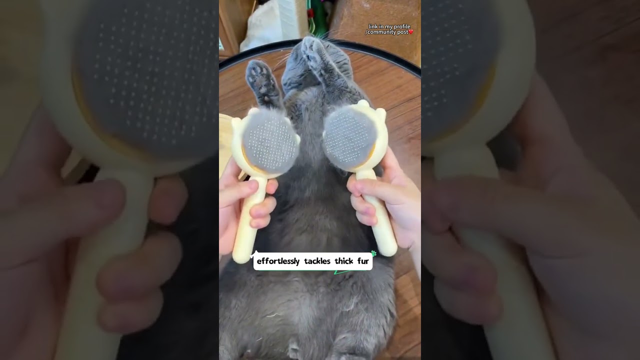 🐾 Tired of pet hair everywhere? Meet the ultimate pet hair removal brush!