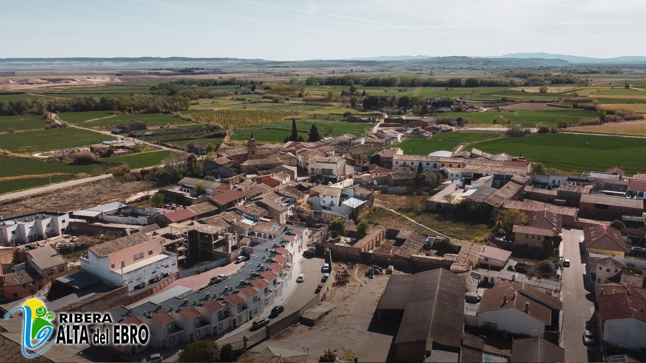 Grisén