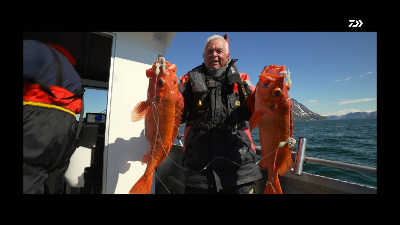 Angeln in Norwegen | Øksfjord | Monströse Rotbarsche mit Horst Hennings | DAIWA Rotbarschvorfach