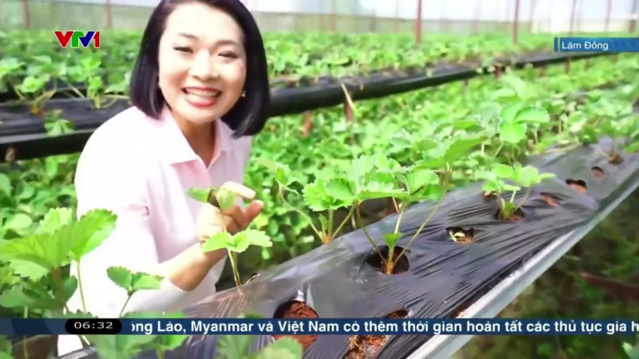 Làm nông công nghệ có gì đặc biệt? | HiFarm