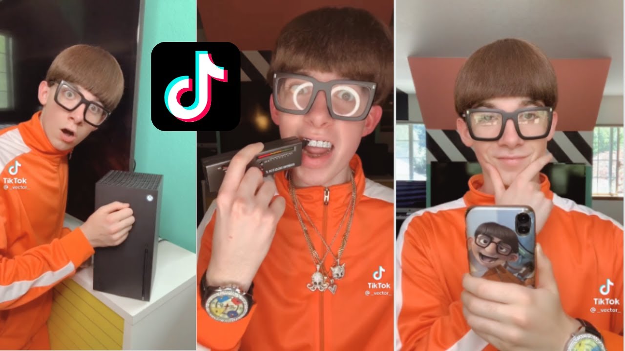 Funniest Vector TikTok 2021