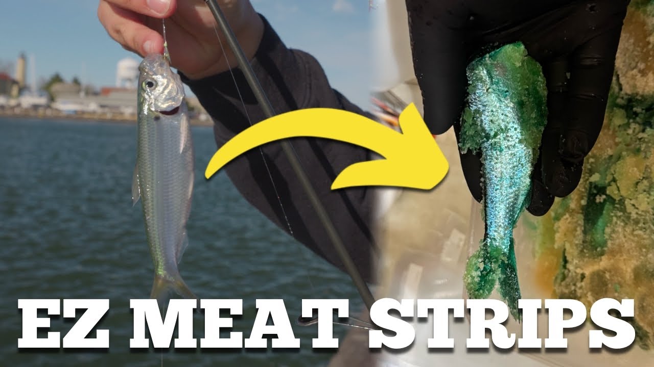 How to Make Alewife Meat Strips for Big Salmon Meat Rig Catches!