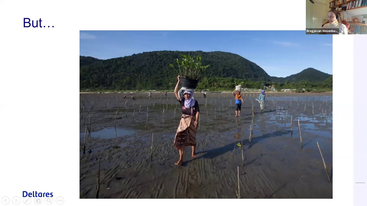 Green and grey infrastructure for coastal resilience: what works where? with Bregje vanWesenbeeck