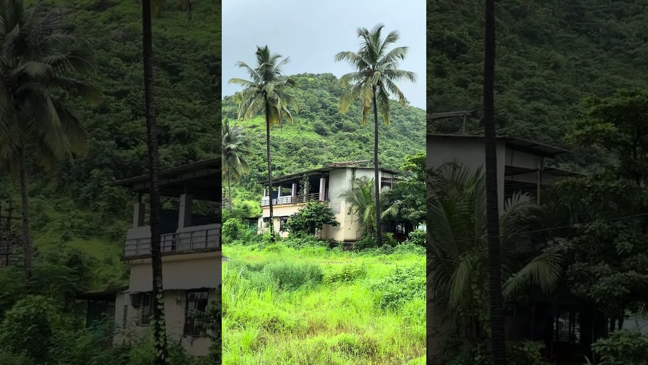 Kerala vibes in Maharashtra | Tropical nature, rivers, waterfalls, and scenic views #mumbai #kerala