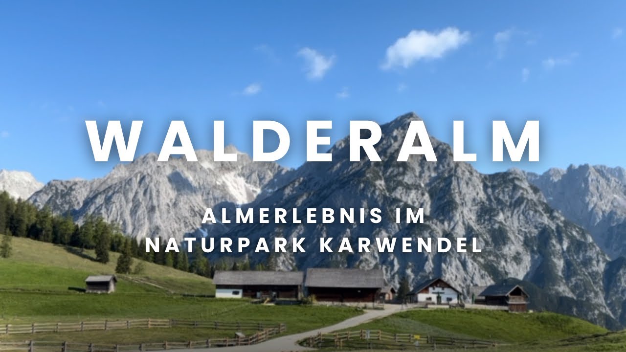 🥾 Wanderung zur Walderalm | Tirol erleben: Natur, Berge & H&uuml;ttenkulinarik