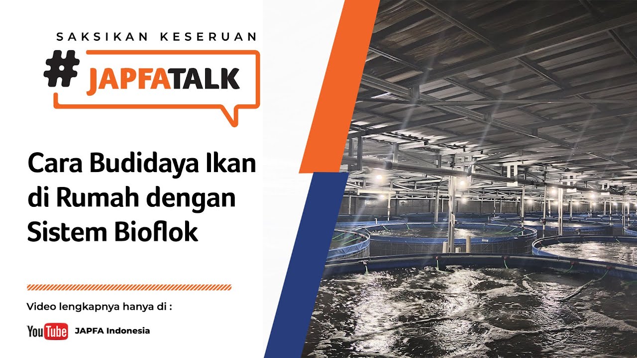 #JAPFATalk Ep. 28 - Cara Budidaya Ikan di Rumah dengan Model Bioflok