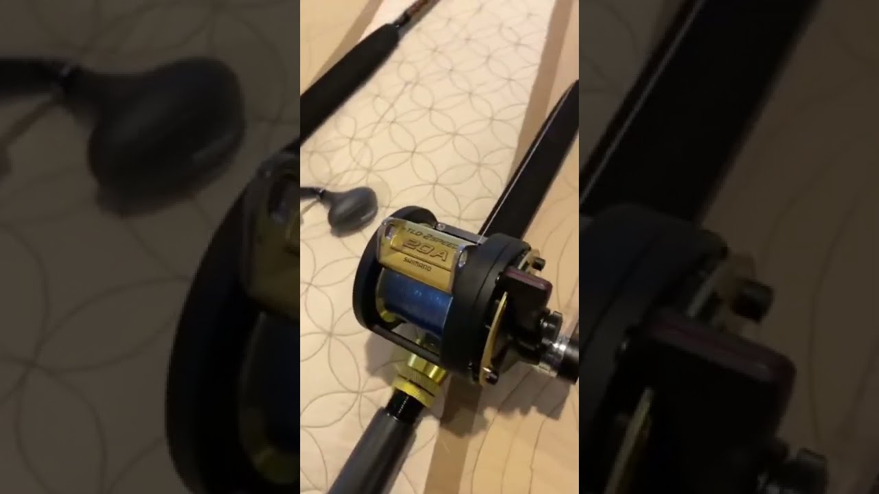Shimano TLD 20 2 Speed Reel