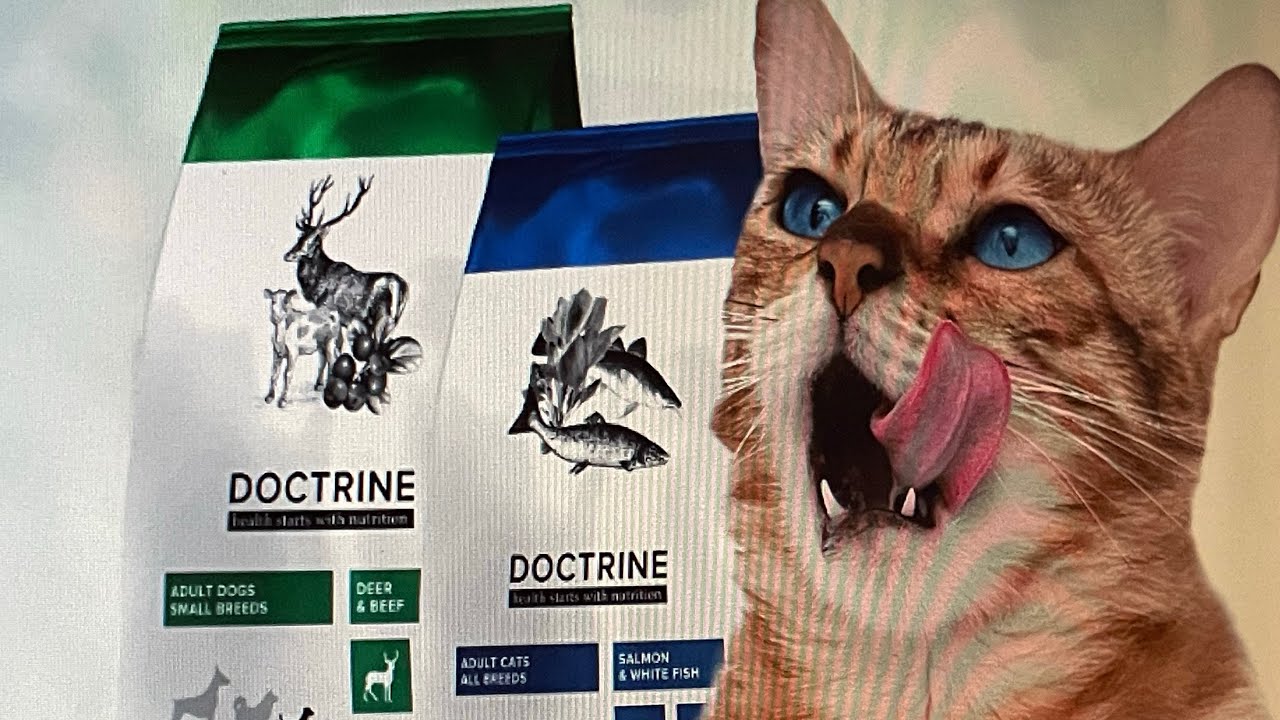 Обзор на Doctrine. Кошки Доктрин.