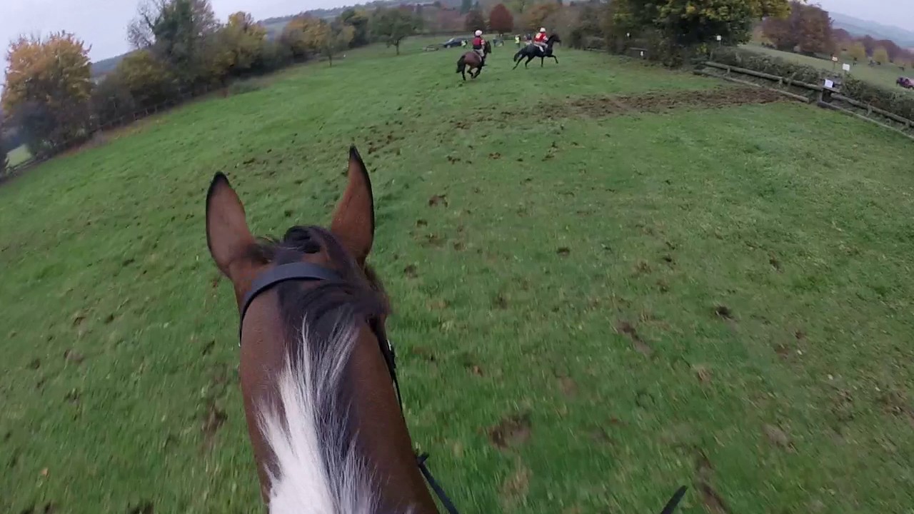 Cotswolds Team Chase - Open - 2016 - 3rd Place - King Koda - Wishful Thinkers