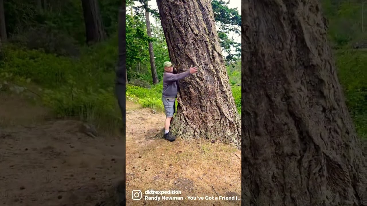 Hug a tree, we need them !!🌲😃🌲 