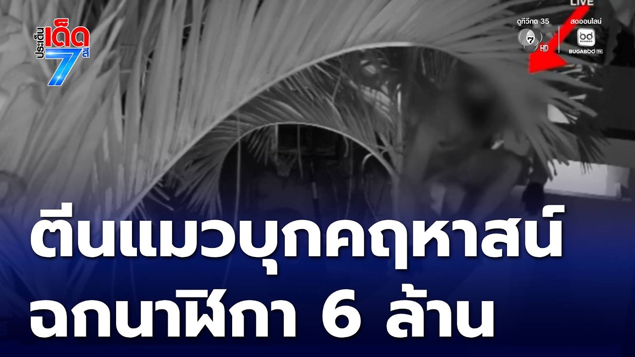 รวบตีนแมว บุกบ้านหรูฉกนาฬิกาแบรนด์เนม | ประเด็นเด็ด 7 สี