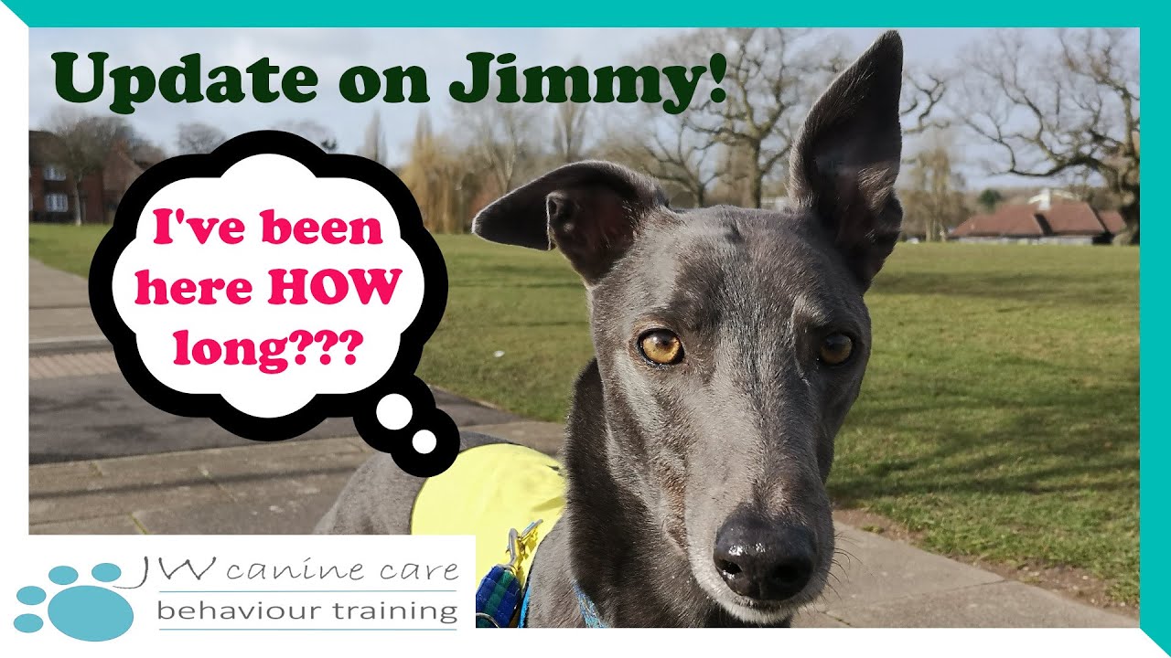 Знакомьтесь, Джимми; прошло 6 месяцев.