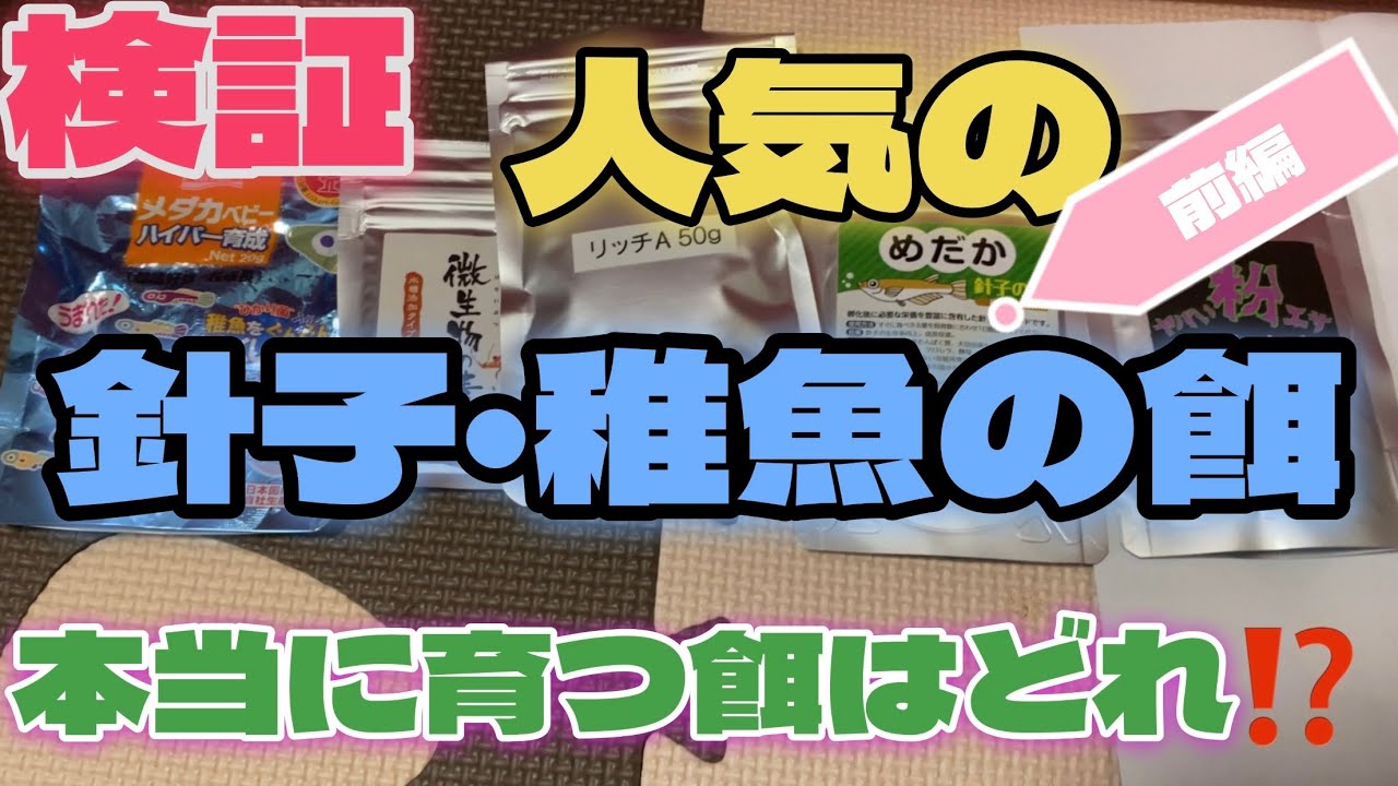 検証‼️ 人気のメダカの稚魚・針子の餌　本当に育つ餌はどれ⁉️前編