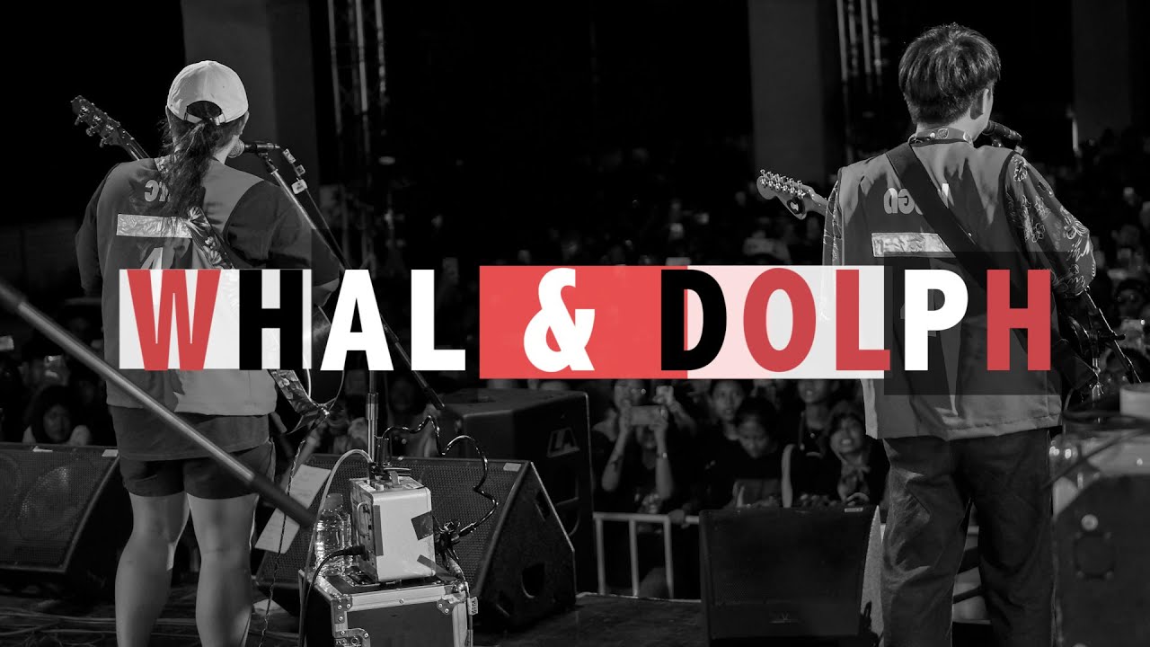 WHAL & DOLPH Cat T-Shirt 6