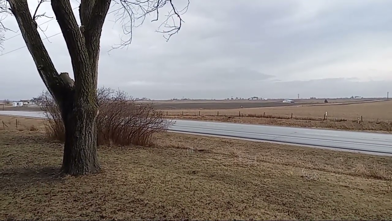Canadian & Snow Geese pt.11