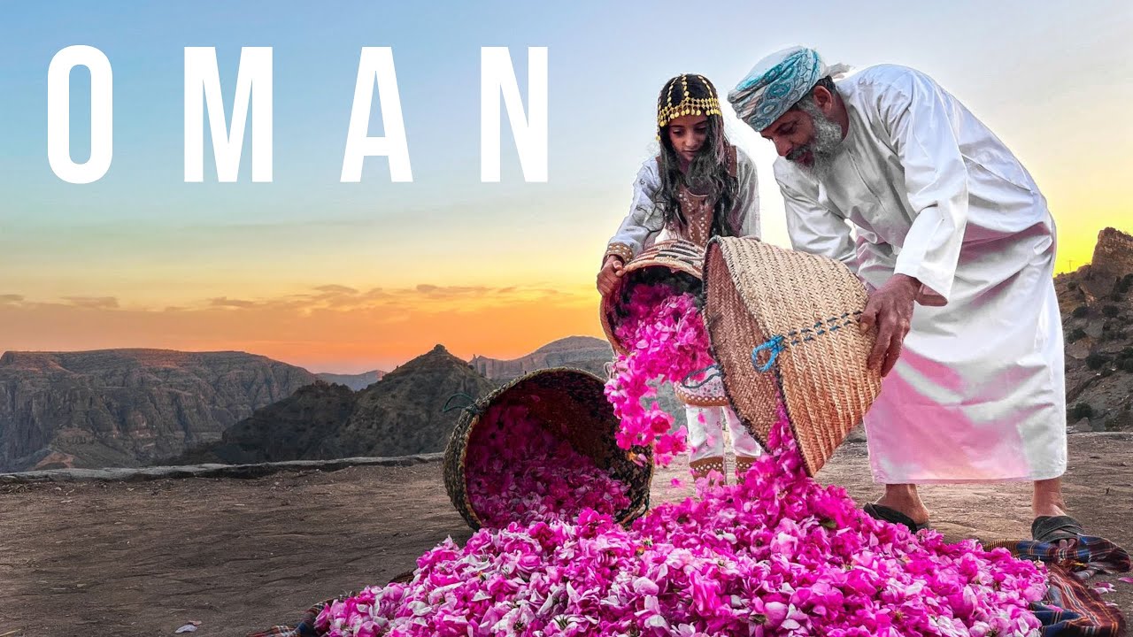 Oman Rose Harvesting in Jabal Akhdar