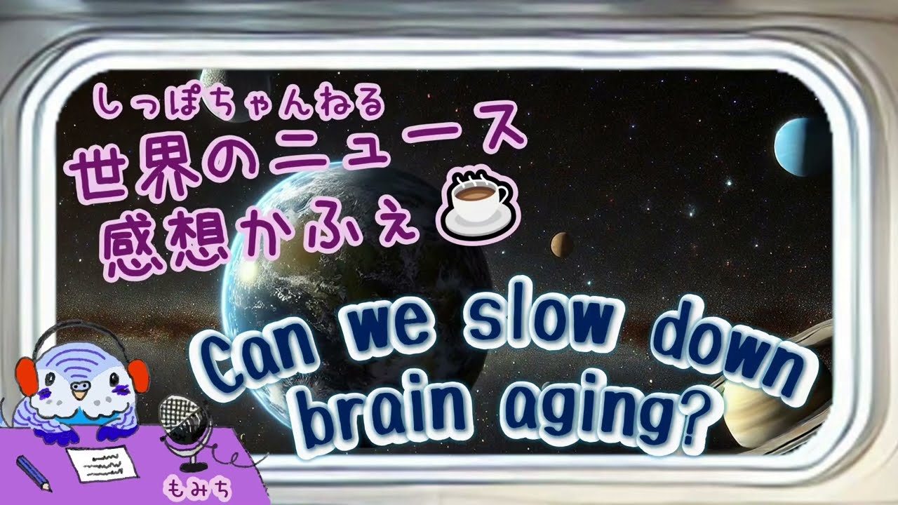 N3～N2 🌸 News in Easy Japanese + 単語 & 文法 🎧 Can we slow down brain aging❓