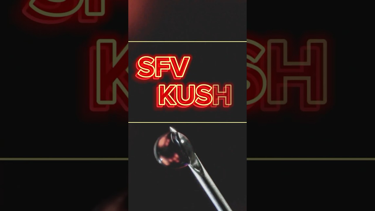 SFV Kush Indica Review - HAZE Concentrates x AYR Dispensary