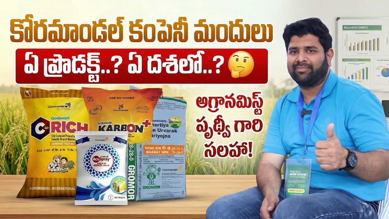 Coromandel Products Complete Guide in Telugu | ఏ మందు ఎప్పుడు కొట్టాలి? || Evusam Tv