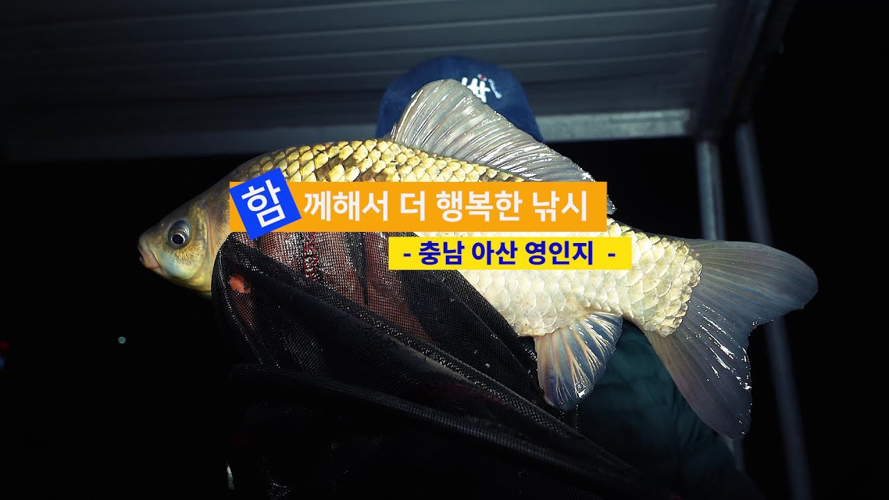 [양어장] 70.함께해서 더 행복한 낚시 - 충남 아산 영인지(2024.4.17)