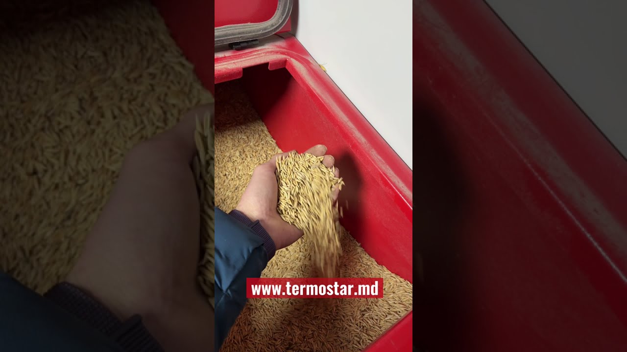 Вместо пеллеты - овес. Надежная котельная на все случаи жизни. 