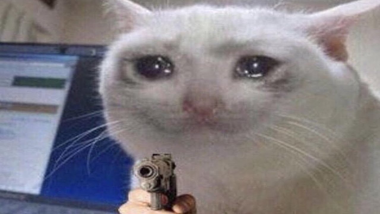 memes that will end your depression